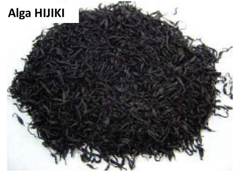 Alga Hijiki Seca (500gr)