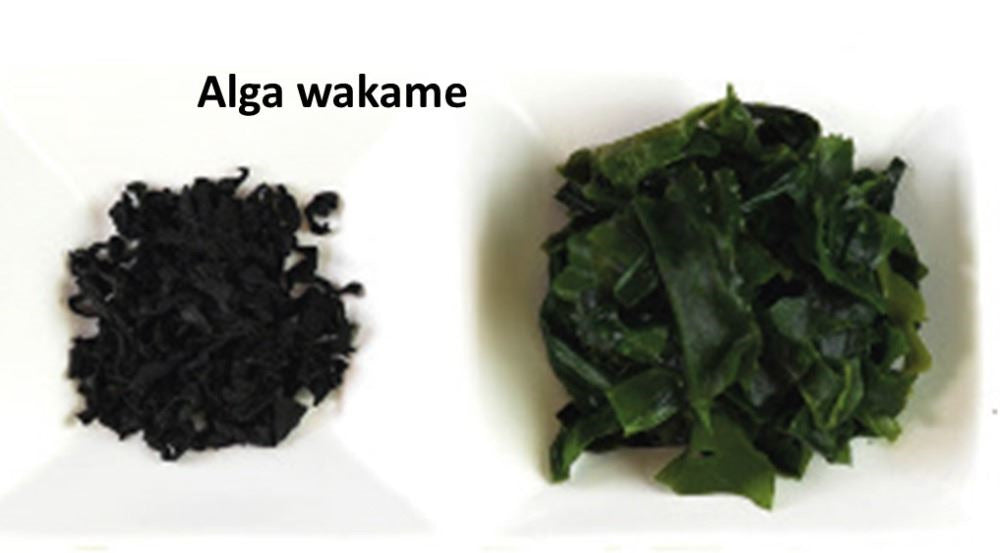 Alga Wakame deshidratada y cortada (500gr)