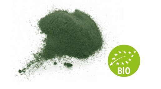 Alga Wakame Polvo Deshidratada BIO/ECO SOC CHEF (Cubo 130 gr)