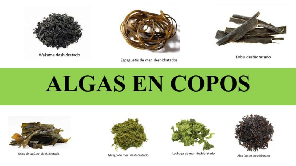 Algas Deshidratadas en Copos (diferentes variedades)