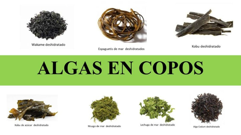 Algas Deshidratadas en Copos (diferentes variedades)