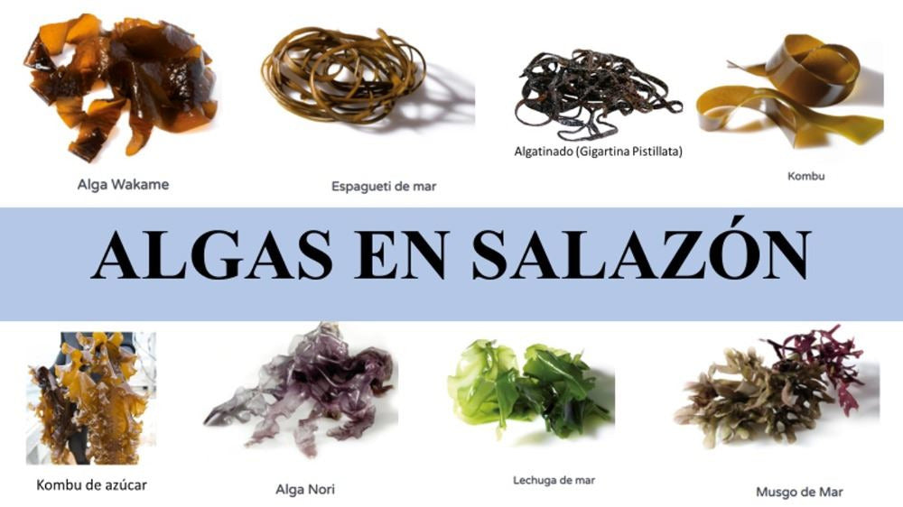 Copos de Algas en Salazón (diferentes variedades)