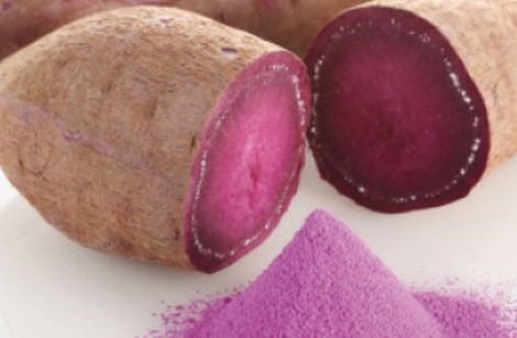 Batata en polvo 1kg