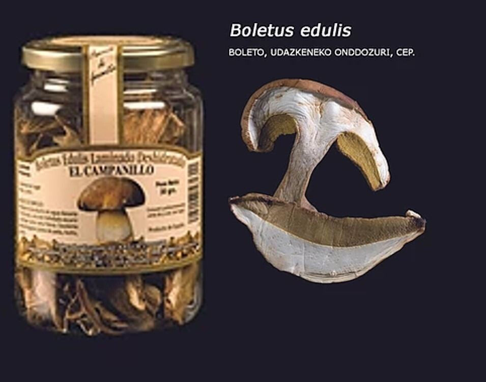 Boletus Edulis Deshidratados - Formatos 15gr., 30gr. y 300gr.