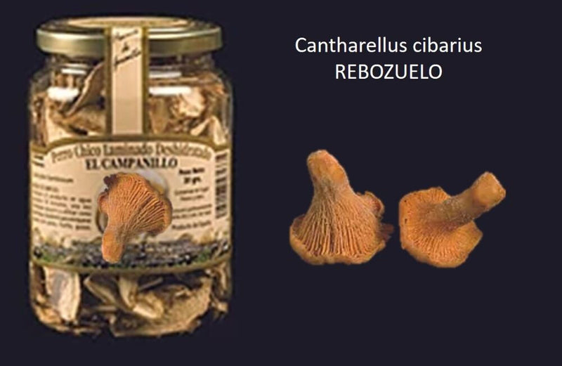 Chantarela Cibarius Deshidratado Bote Pet  300 Grs