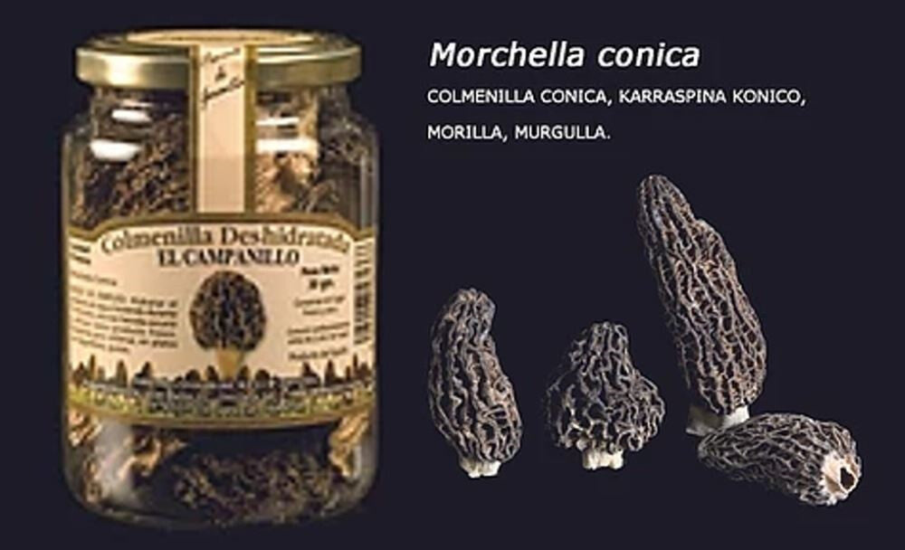 Colmenilla Deshidratada - Formato Bote Pet 15gr., 30gr. y  300gr.