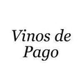 Dehesa del Carrizal 100%Syrah