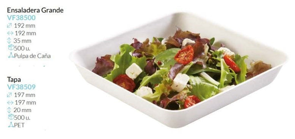 Ensaladera sin tapa Grande Pulpa De Caña 192X192X35 Mm Caja 500 Unidades