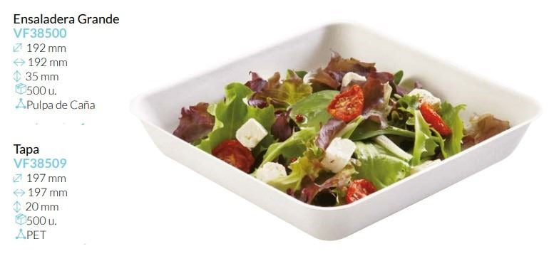 Ensaladera sin tapa Grande Pulpa De Caña 192X192X35 Mm Caja 500 Unidades