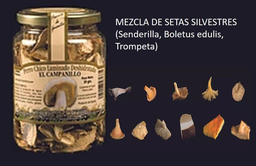 Mezcla Setas Silvestres Deshidratado Bote Pet  300 Grs