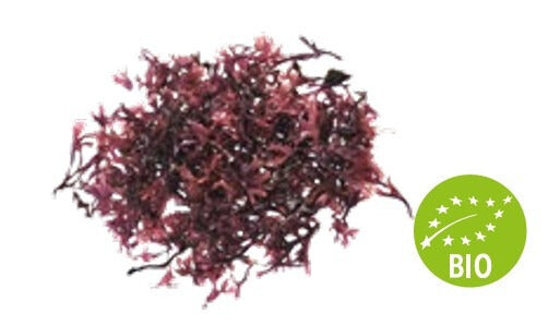 Musgo Estrellado Entero Deshidratado BIO/ECO SOC CHEF (Caja 300 gr)