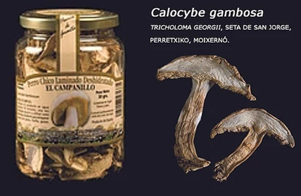 Perrechico Laminado Deshidratado - Formato Bote Pet 15gr. 30gr. y 300gr.