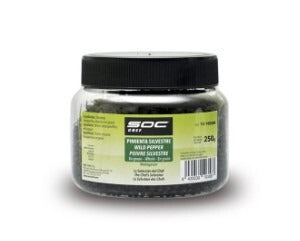 PIMIENTA SILVESTRE MADAGASCAR Cubo, 250 gramos, SOC CHEF