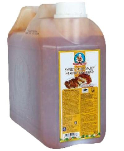 Salsa Agriopicante 5kg DSG