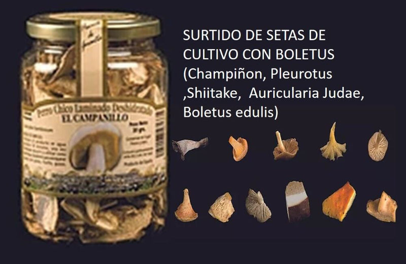 Surtido Setas Cultivo Con Boletus Dehidratado Bote Pet  300 Grs