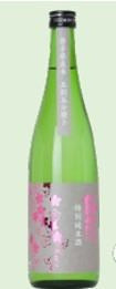 Tokubetsu Junmai Sakuragao(720ml, 15º)*