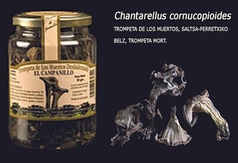 Trompeta De Los Muertos Deshidratada - Formatos Bote Pet  15gr., 30gr., 300gr.