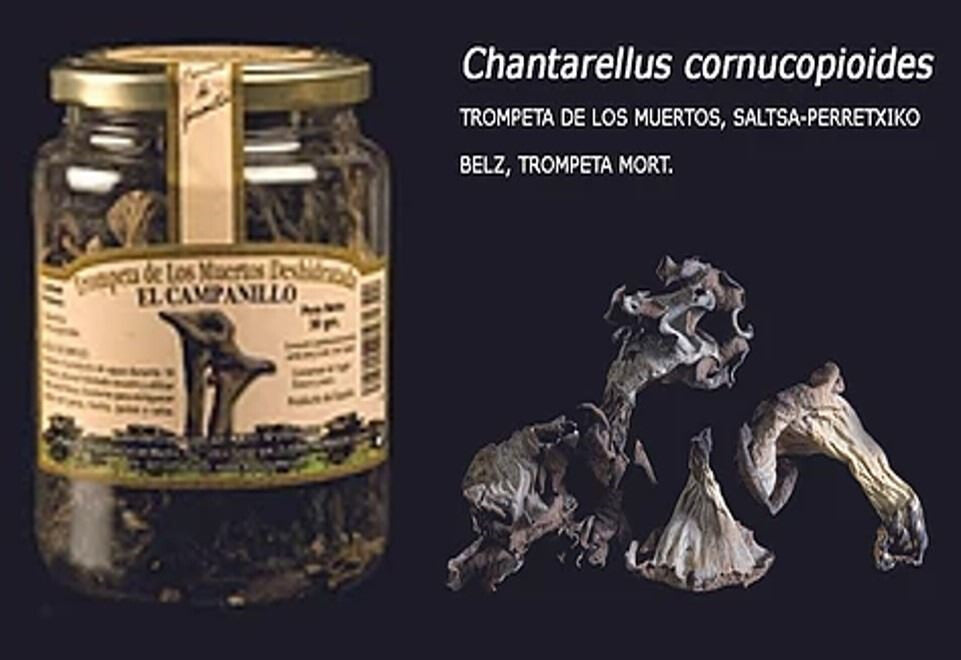 Trompeta De Los Muertos Deshidratada - Formatos Bote Pet  15gr., 30gr., 300gr.