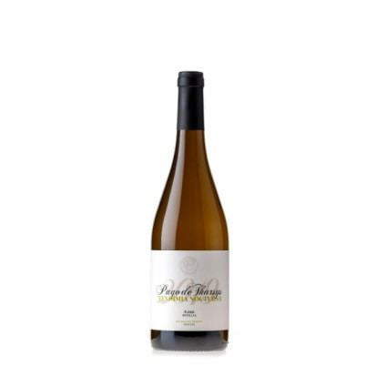 Vino Albariño Vendimia Nocturna 2019 Eco