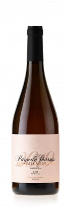 Vino Garnacha Vendimia Nocturna 2018, Rosado Eco