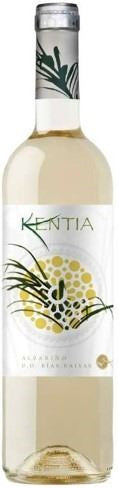 Vino  Kentia DO Rias Baixas - Caja de 6 botellas