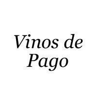Vino Quixote Petit Verdot