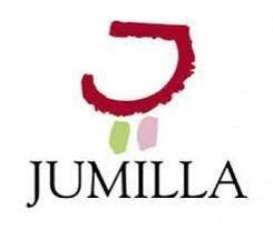 Vino tinto Vivir Sin Dormir Organic DO Jumilla